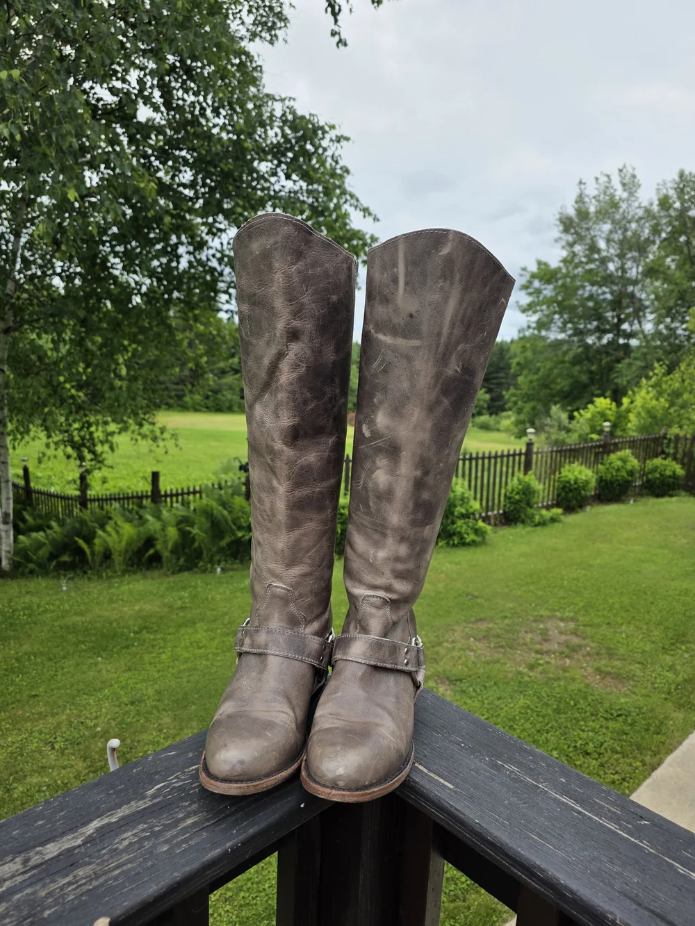 Freebird by Steven Distressed Tall Brown Harness Boots